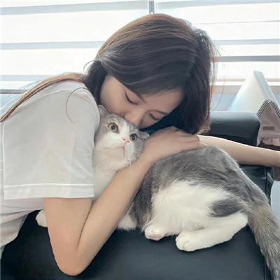 上新吧福味